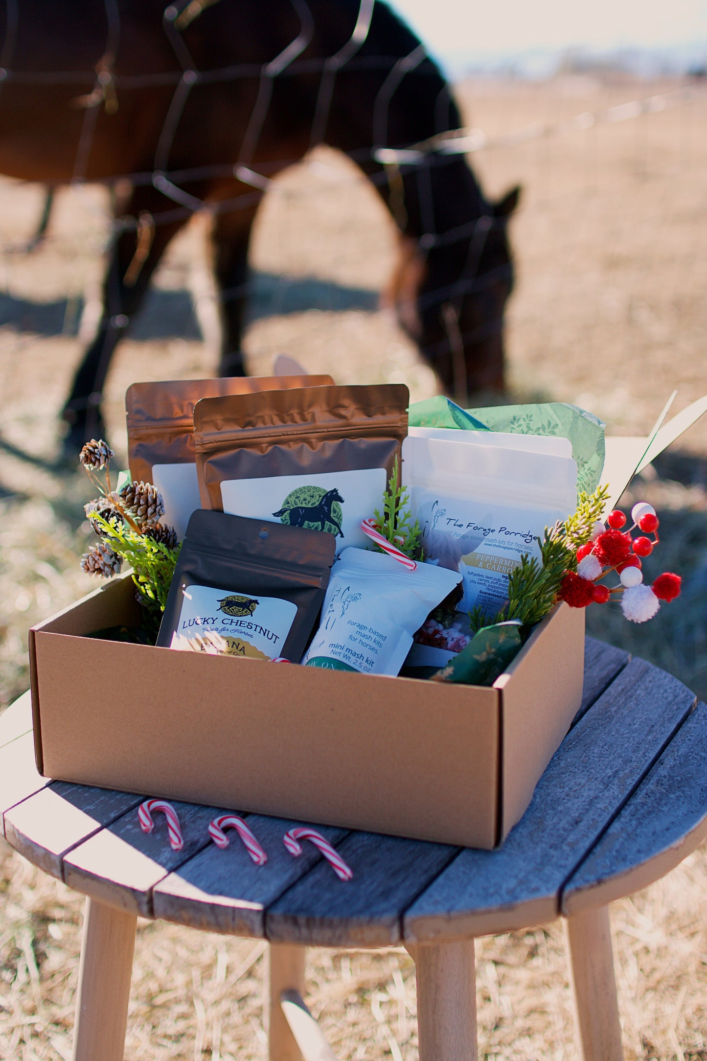 Forage Porridge & Lucky Chestnut Holiday Bundle