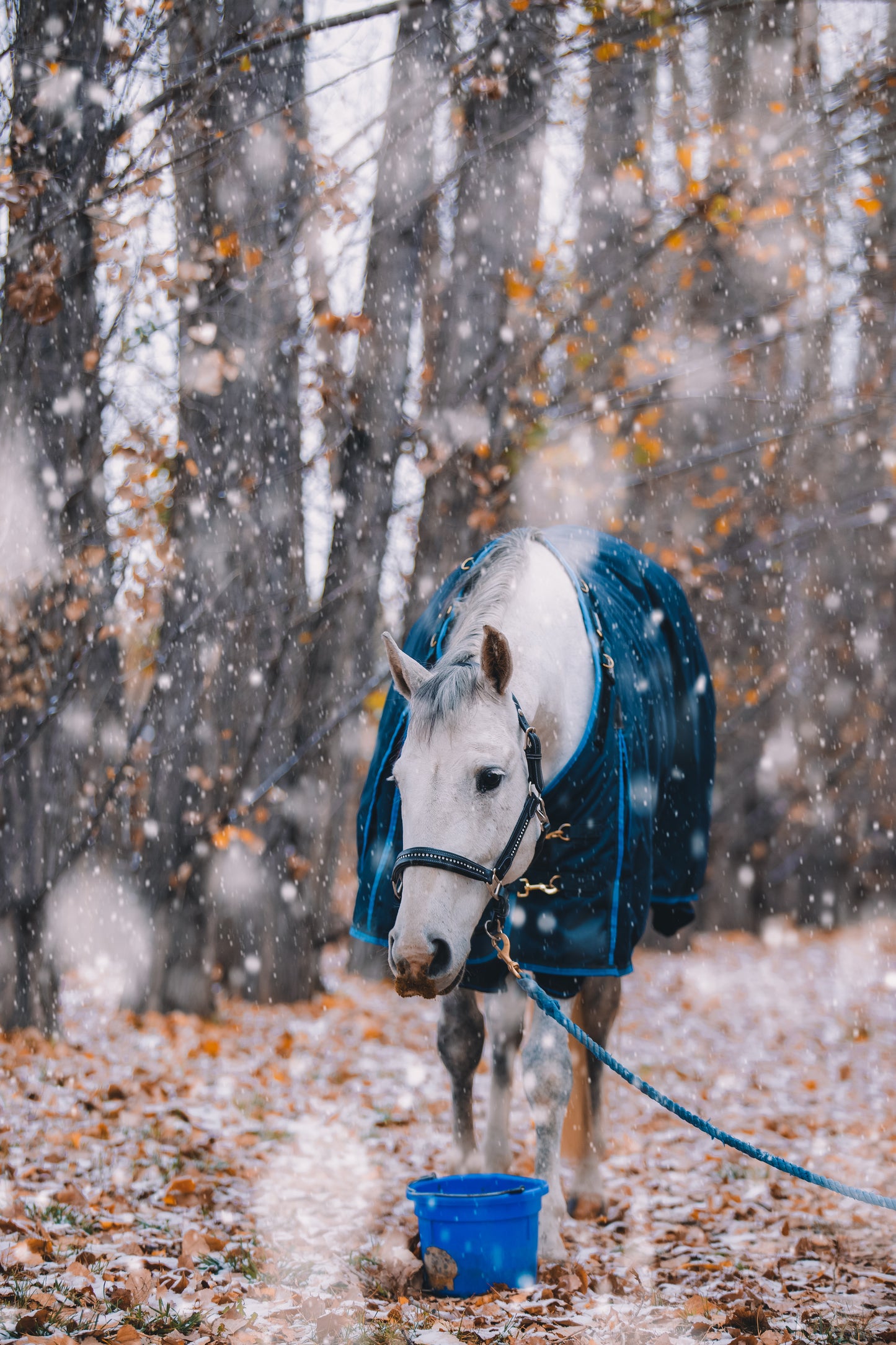 Snow on the Beach