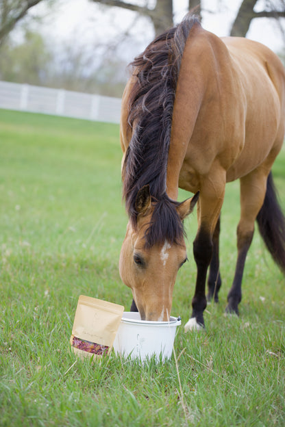 Wild Child- Limited Edition