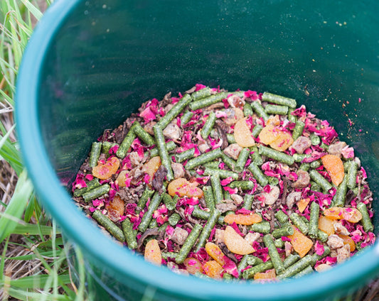 Wild Child- Limited Edition